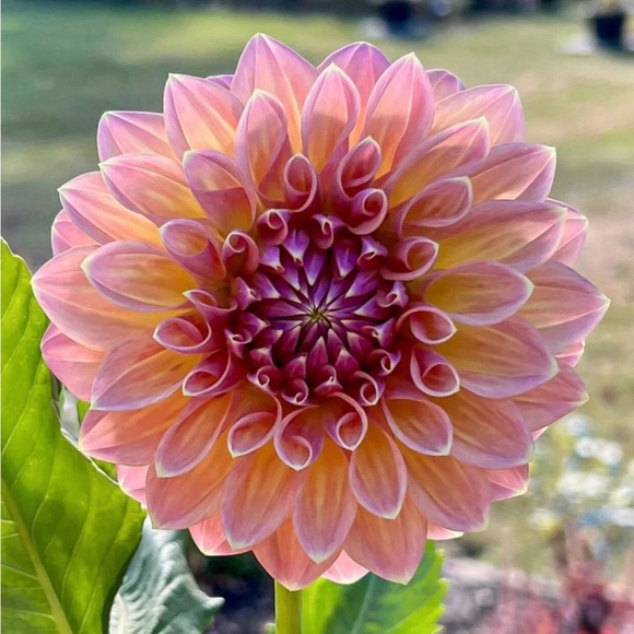 Welcome - Picture 2 of 16